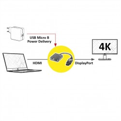 Adaptateur HDMI - DisplayPort, v1.2, HDMI F - DP M 2